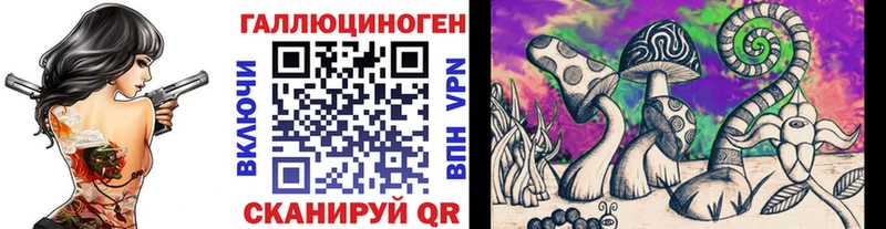 mega как зайти  Верхнеуральск  Псилоцибиновые грибы GOLDEN TEACHER  сколько стоит 