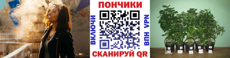 Шишки марихуана White Widow это формула Верхнеуральск